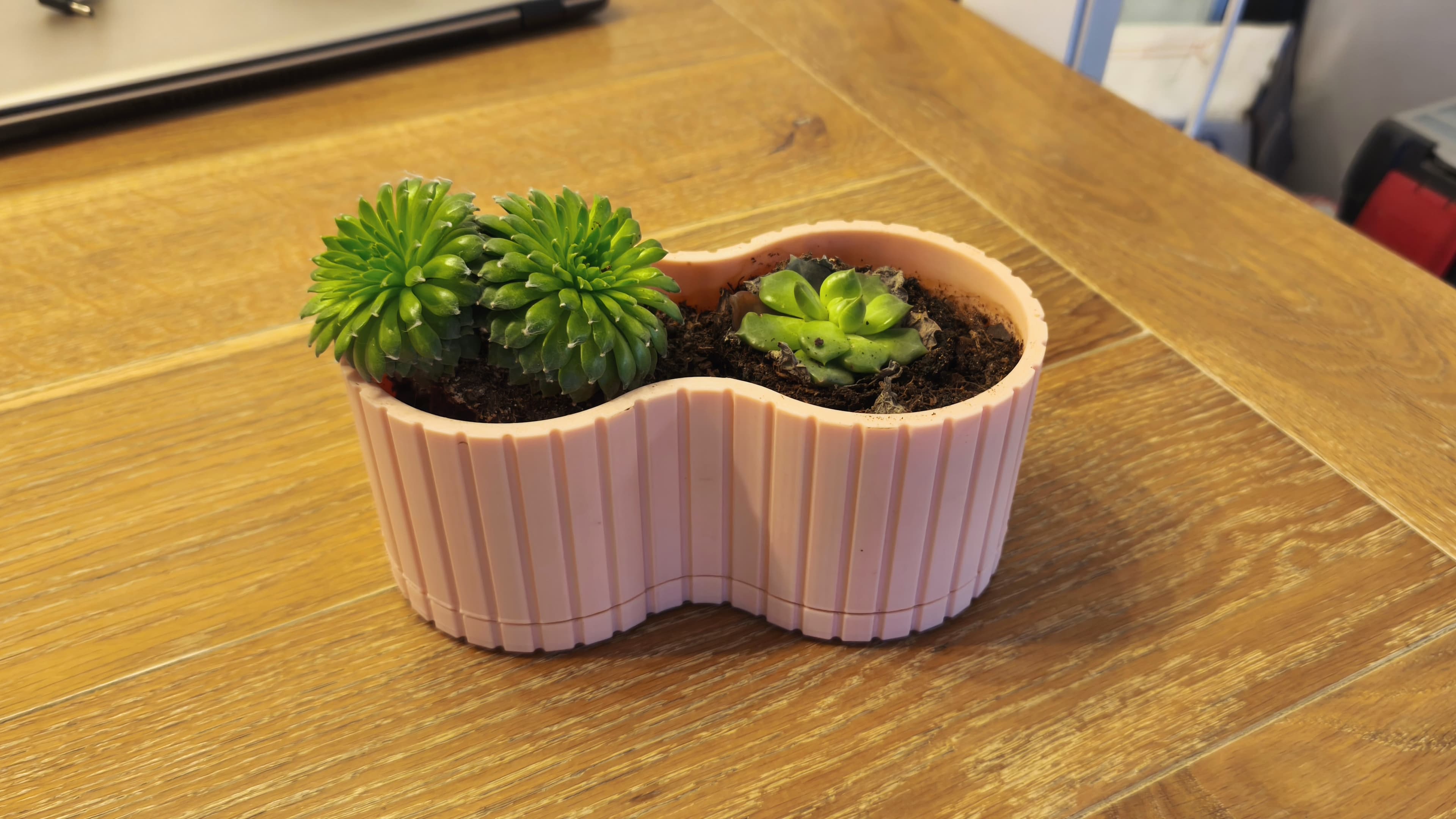 Кашпо с поддоном